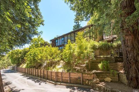 191 Circle Ave, Mill Valley, CA 94941 photo 41