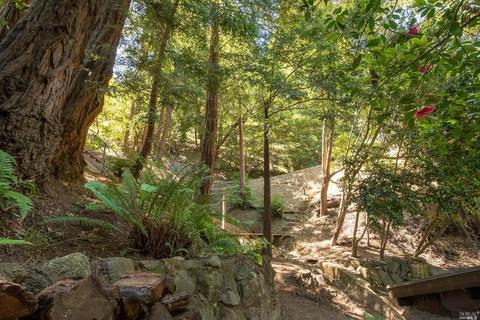 191 Circle Ave, Mill Valley, CA 94941 photo 35