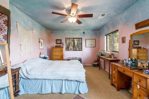 28110 Poppy Dr, Willits, CA 95490 photo 16