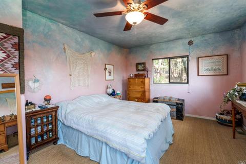 28110 Poppy Dr, Willits, CA 95490 photo 17