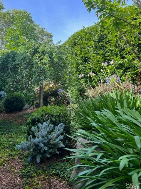 920 Maxwell St, Healdsburg, CA 95448 photo 27