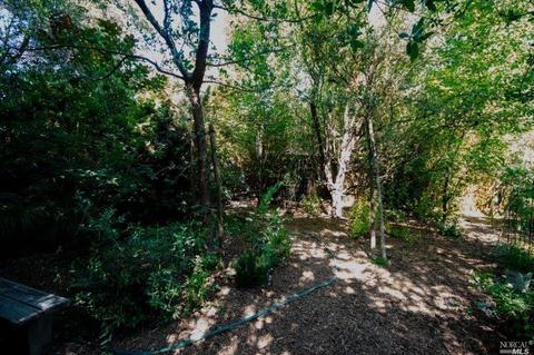 920 Maxwell St, Healdsburg, CA 95448 photo 21