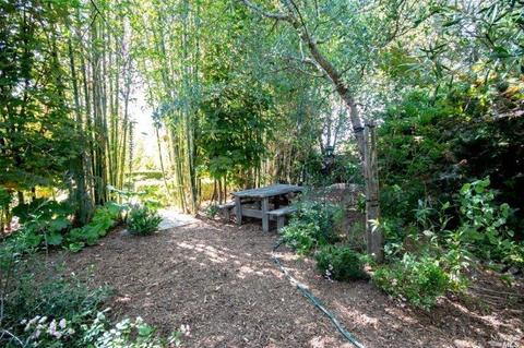 920 Maxwell St, Healdsburg, CA 95448 photo 22