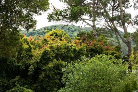 45 Park Ter, Mill Valley, CA 94941 photo 19
