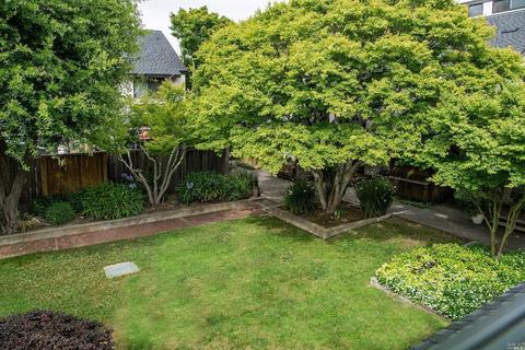 45 Park Ter, Mill Valley, CA 94941 photo 30