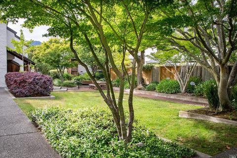 45 Park Ter, Mill Valley, CA 94941 photo 4