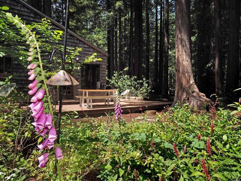 2225 Joy Ridge Rd, Occidental, CA 95465 photo 3