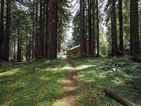 2225 Joy Ridge Rd, Occidental, CA 95465 photo 26