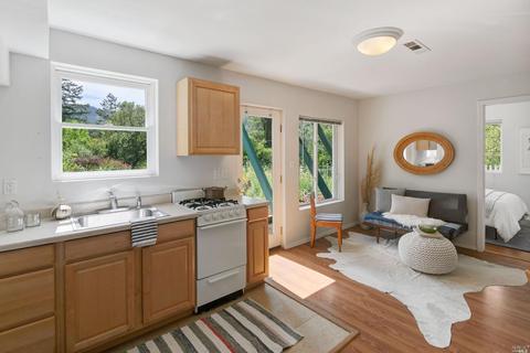 125 Mountain View Ave, Lagunitas, CA 94938 photo 76
