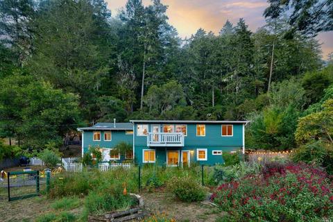 125 Mountain View Ave, Lagunitas, CA 94938 photo 89
