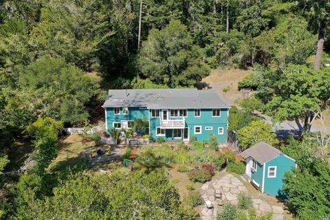 125 Mountain View Ave, Lagunitas, CA 94938 photo 4