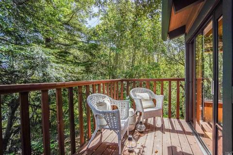 816 Spring Dr, Mill Valley, CA 94941 photo 41