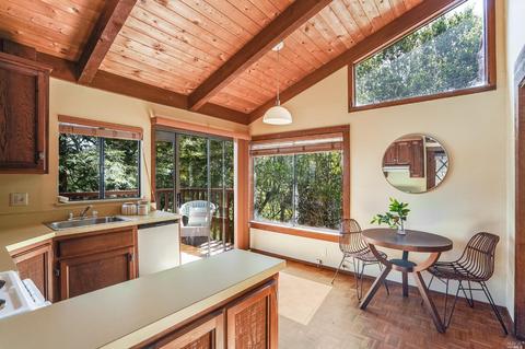 816 Spring Dr, Mill Valley, CA 94941 photo 37
