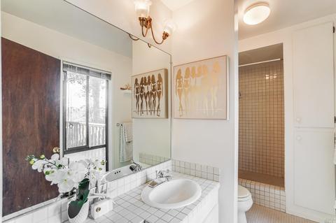 816 Spring Dr, Mill Valley, CA 94941 photo 39