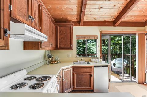 816 Spring Dr, Mill Valley, CA 94941 photo 40
