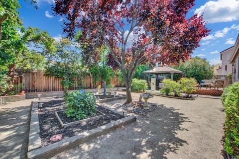 642 Fox Pointe Rd, Vacaville, CA 95687 photo 36