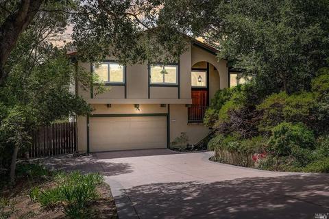 9 Fox Ct, Novato, CA 94945 photo 30