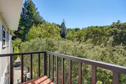 859 Spring Dr, Mill Valley, CA 94941 photo 21
