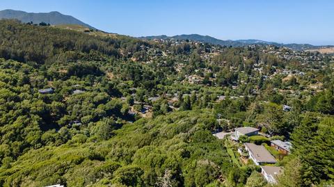 859 Spring Dr, Mill Valley, CA 94941 photo 29