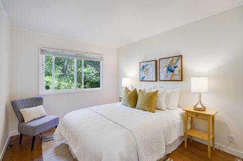 859 Spring Dr, Mill Valley, CA 94941 photo 15