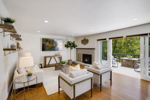 859 Spring Dr, Mill Valley, CA 94941 photo 3