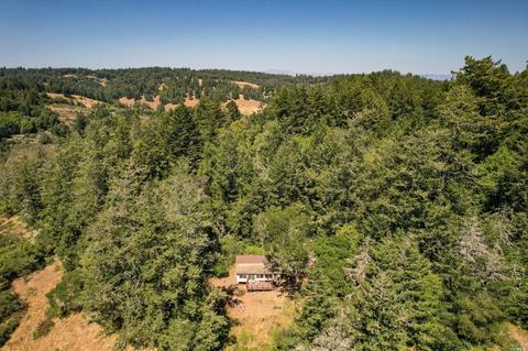 17200 Fitzpatrick Ln, Occidental, CA 95465 photo 70