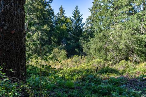 17200 Fitzpatrick Ln, Occidental, CA 95465 photo 52