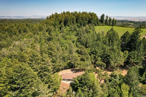 17200 Fitzpatrick Ln, Occidental, CA 95465 photo 71