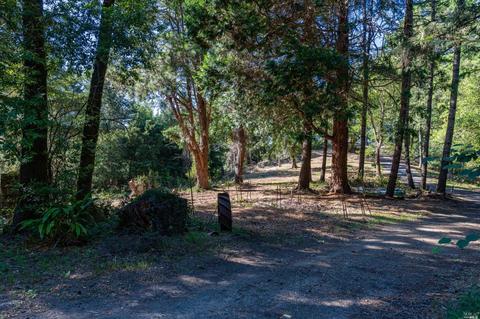 17200 Fitzpatrick Ln, Occidental, CA 95465 photo 57