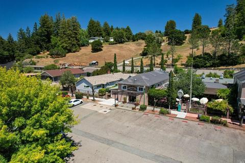 17200 Fitzpatrick Ln, Occidental, CA 95465 photo 75
