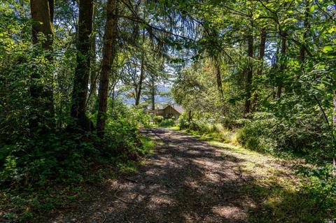 17200 Fitzpatrick Ln, Occidental, CA 95465 photo 46