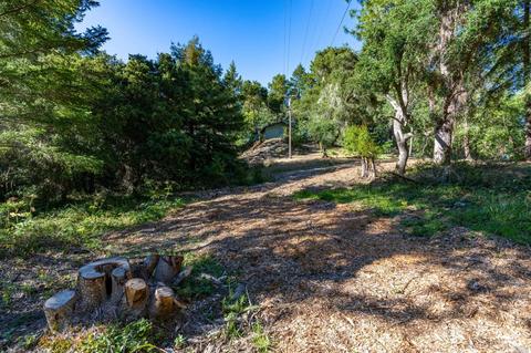 17200 Fitzpatrick Ln, Occidental, CA 95465 photo 58