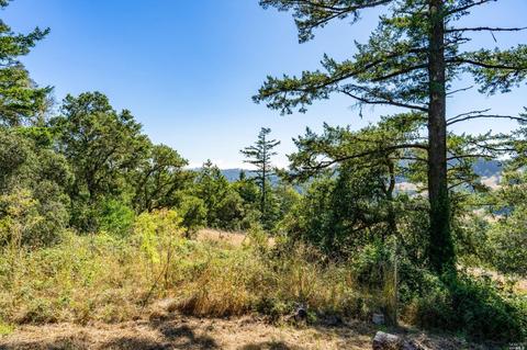 17200 Fitzpatrick Ln, Occidental, CA 95465 photo 51