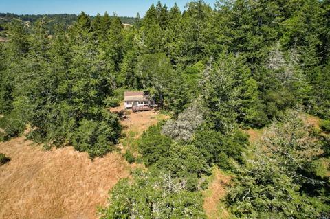 17200 Fitzpatrick Ln, Occidental, CA 95465 photo 65