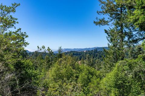 17200 Fitzpatrick Ln, Occidental, CA 95465 photo 35