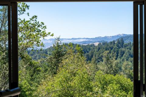 17200 Fitzpatrick Ln, Occidental, CA 95465 photo 9
