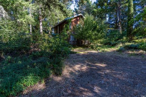 17200 Fitzpatrick Ln, Occidental, CA 95465 photo 42