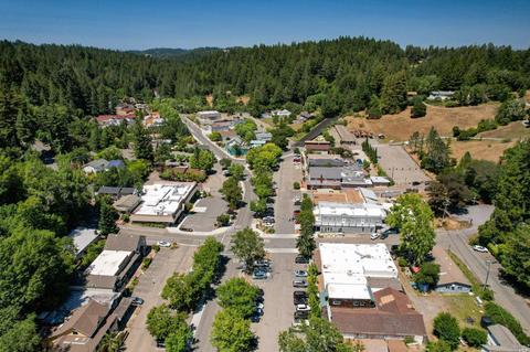 17200 Fitzpatrick Ln, Occidental, CA 95465 photo 74