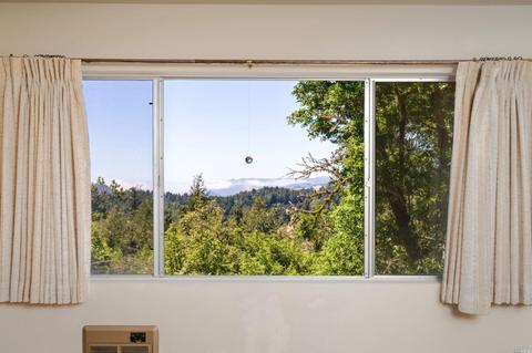 17200 Fitzpatrick Ln, Occidental, CA 95465 photo 20