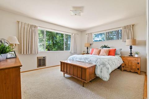 17200 Fitzpatrick Ln, Occidental, CA 95465 photo 19