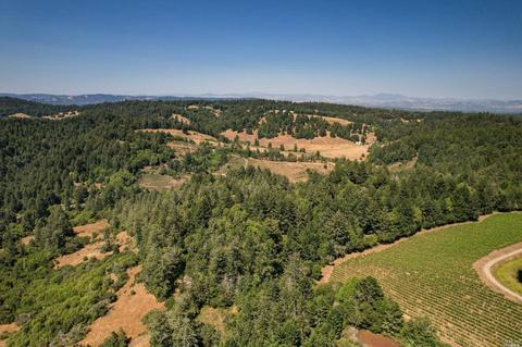 17200 Fitzpatrick Ln, Occidental, CA 95465 photo 67