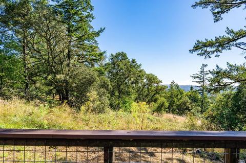 17200 Fitzpatrick Ln, Occidental, CA 95465 photo 50