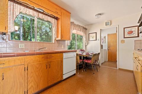 17200 Fitzpatrick Ln, Occidental, CA 95465 photo 21