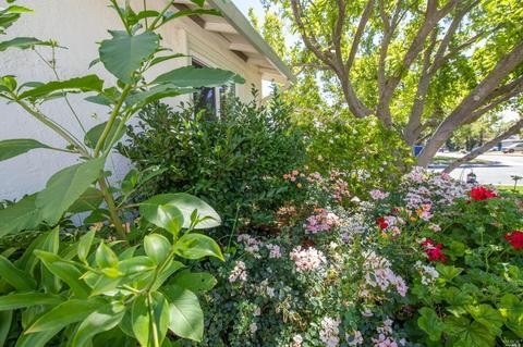 600 Calmace Dr, Dixon, CA 95620 photo 68