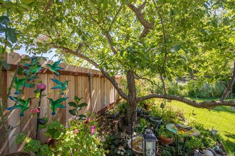 600 Calmace Dr, Dixon, CA 95620 photo 62