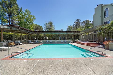 65 Eucalyptus Knoll St, Mill Valley, CA 94941 photo 41