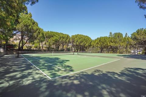 65 Eucalyptus Knoll St, Mill Valley, CA 94941 photo 40