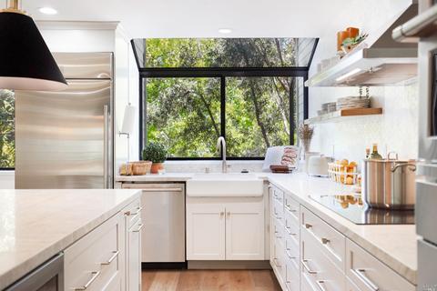 65 Eucalyptus Knoll St, Mill Valley, CA 94941 photo 22