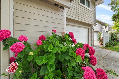 21 Modoc Pl, Novato, CA 94947 photo 21