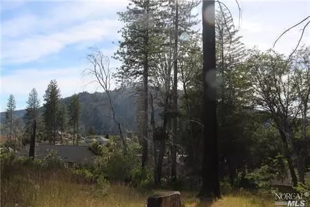 11209 Greenaway Ct, Cobb, CA 95426